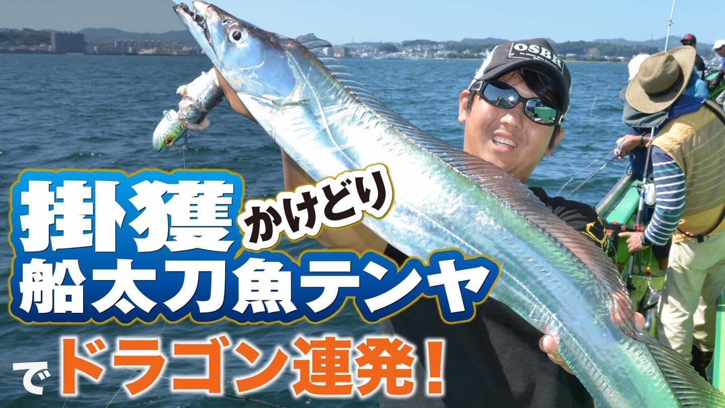 FF81EB20-28C0-4226-9429-