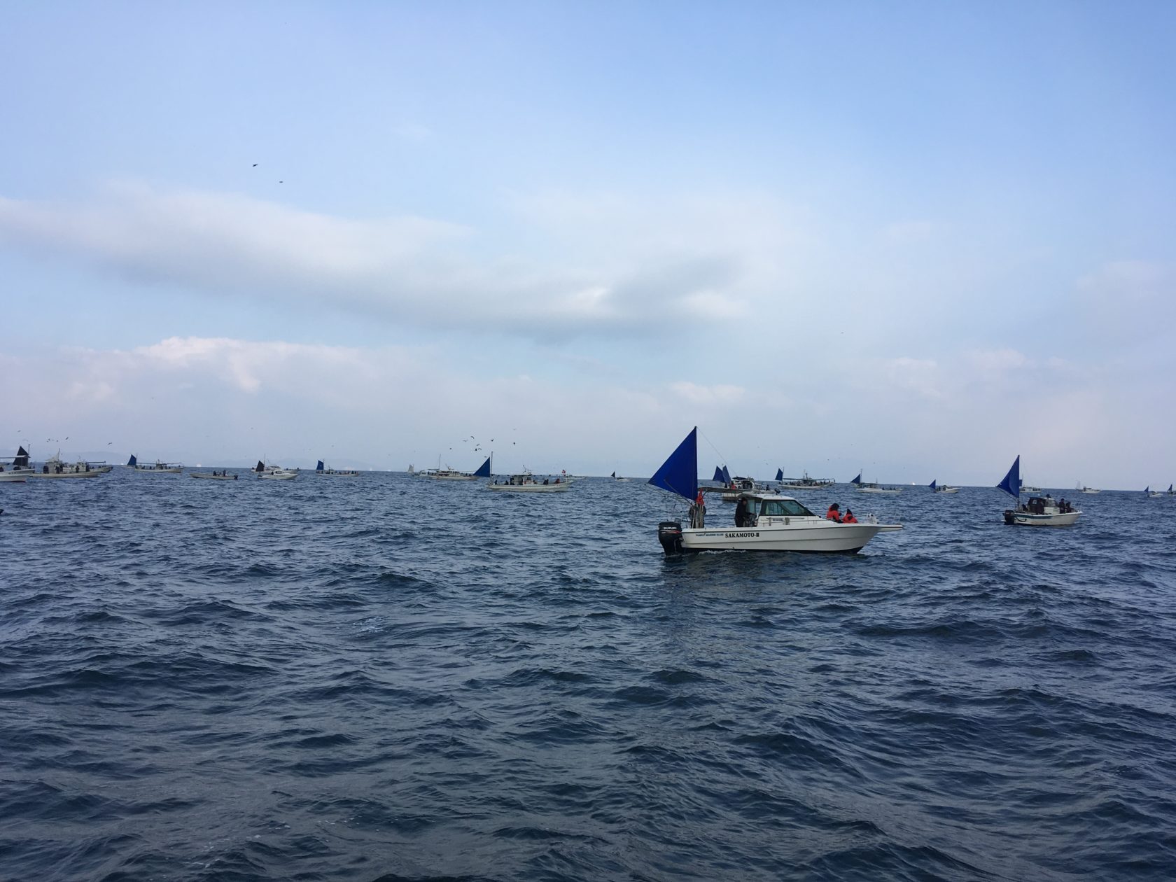 冬のテンヤタチウオ【弱々しいアタリ】と【ロングステイ】 – タチウオ