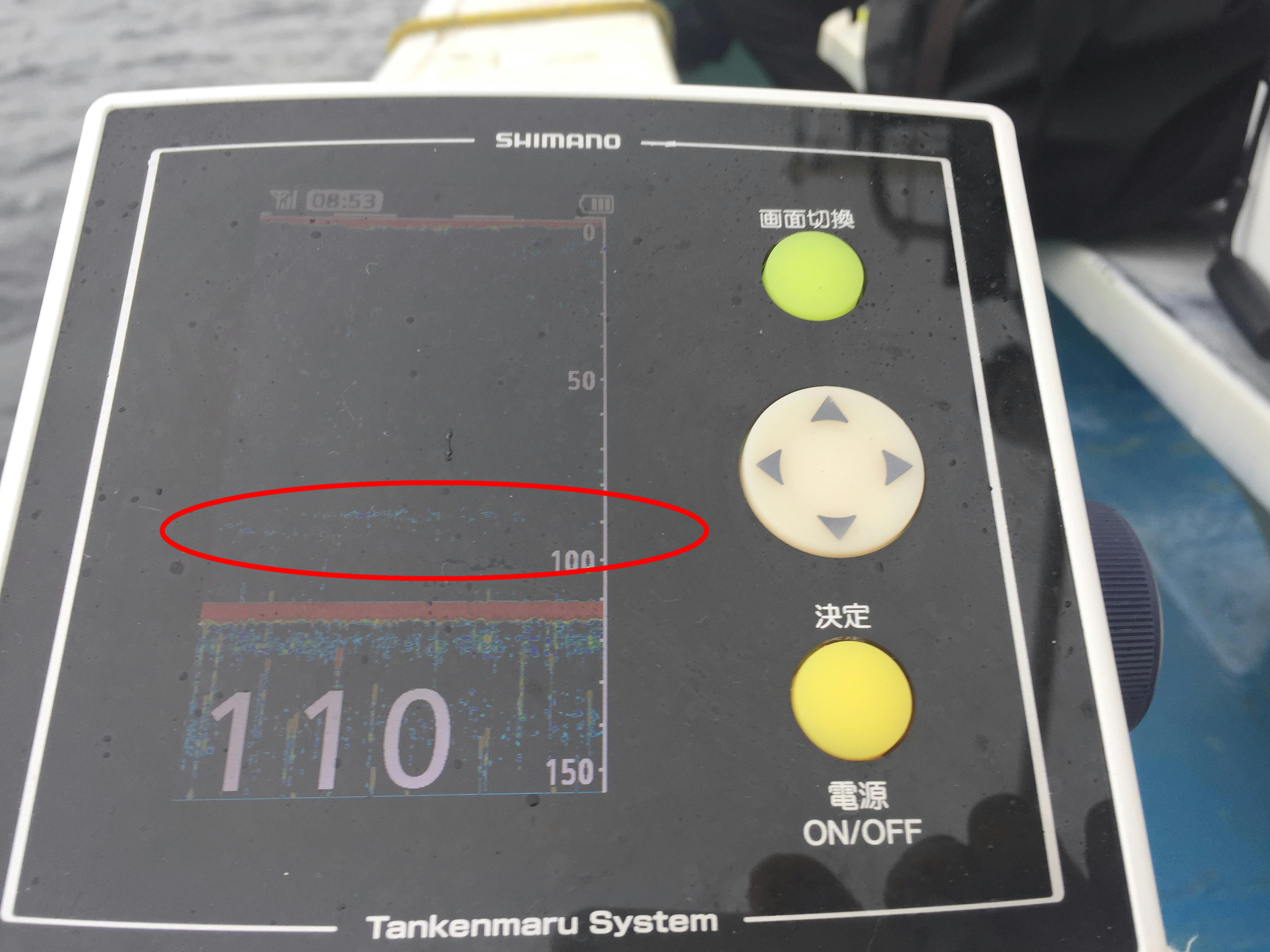 テンヤタチウオにおける 縦の釣り と 横の釣り In 洲本沖 第28戦 タチウオマニア